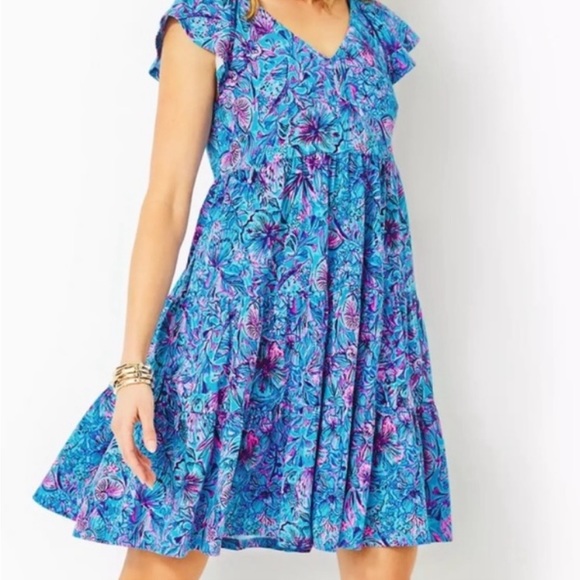 RARE! Lilly Pulitzer Dress - Picture 1 of 6